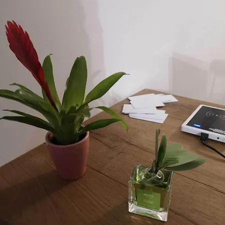 Via Roma לינה וארוחת בוקר