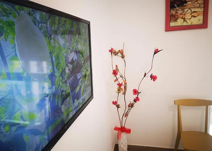 Via Roma Bed & Breakfast LʼAquila